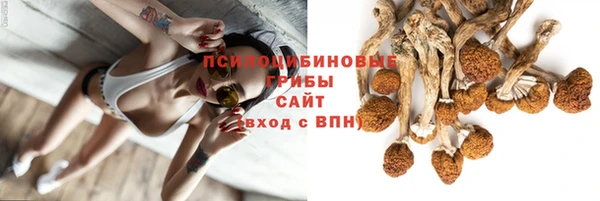 ALPHA PVP Михайловка