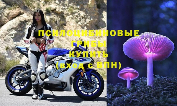 ALPHA PVP Михайловка
