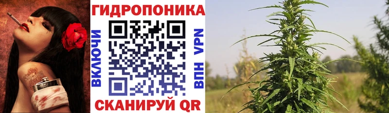 Бошки марихуана гибрид это какой сайт Тетюши где купить